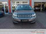 Land Rover Freelander 2 SE TD4 Xenon / AHK / Navi / Kamera - Land Rover Freelander: Grau