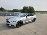 Ford Mustang 2.3 EcoBoost Auto - - Ford: Roadster