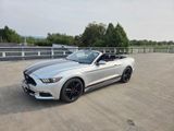 Ford Mustang 2.3 EcoBoost Auto - - Ford Mustang: Cabrio