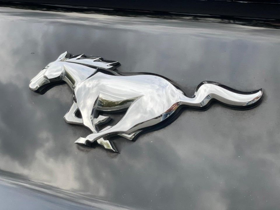 Fahrzeugabbildung Ford Mustang 2.3 Leder Kamera Klima Sitze usw.