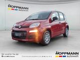 Fiat Panda 1.0 Mild Hybrid Pandina Icon