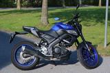 Yamaha MT-125 - YAMAHA MT125