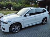 BMW X1 xDrive20d M Sport Steptronic M Sport - BMW X1: Xdrive20d M Sport