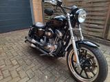 Harley-Davidson XL883 - Angebote