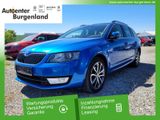 Skoda Octavia Combi 1.6 TDI  Edition Bi-XENON+SITZHEIZ - Skoda Octavia: 1.6