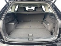 Skoda Kodiaq - Vorschau Bild 7
