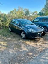 Fiat Bravo 1.4 90 ps Zahnriemen Neu! TÜV N... - Fiat Bravo mit Benzin-Antrieb