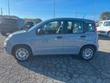 Fiat Panda 1.2 Easy s&s 69cv my19 PREZZO REALE - Fiat Panda Cabrio Gebrauchtwagen