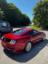 Ford Mustang 5.0 Ti-VCT V8 GT Auto GT - Ford Mustang: Rot