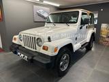 Jeep Wrangler TJ Sahara Edition 4.0 *Allrad*Klima* - Jeep Wrangler mit Benzin-Antrieb: Geländewagen, Tj