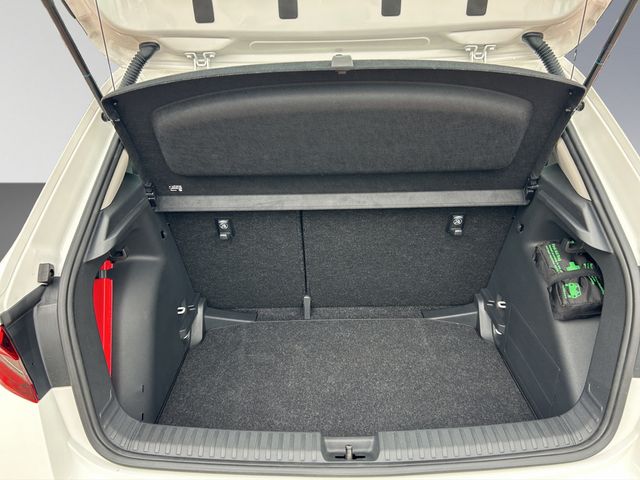 Fabia Active