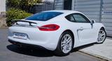 Porsche Cayman 981 PDK 19" Leder Navi PASM orig. 29TKM ! - Porsche Cayman: Weiß
