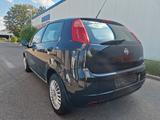 Fiat Punto 1.4 8V Active Org.86.000 km,Klima,SHZ - gebrauchte Fiat Punto aus dem Jahr 2008
