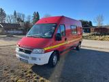 Fiat Ducato 244 Dangel 4x4 WoMo Projekt - Fiat Ducato: X