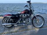 Harley-Davidson Sportster XL 1200V  Seventy two