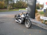 Triumph Bonneville Speedmaster - Aus 1. Hand!!! - TRIUMPH BONNEVILLE SPEEDMASTER