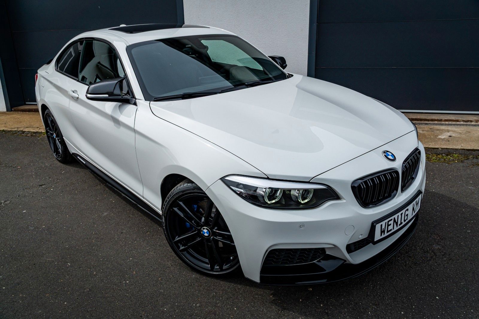 BMW 230i Coupé- MSport/SHZ/MEM/KAM/LED/ALCANTARA/R18