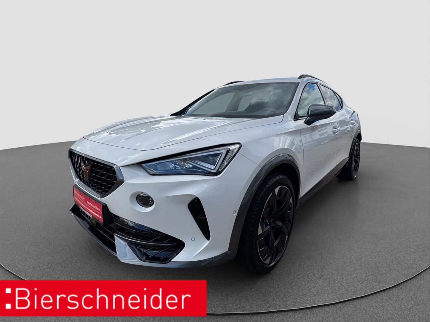Cupra Formentor 2.0 TSI DSG 4Dr. VZ PANO BEATS AHK RFK
