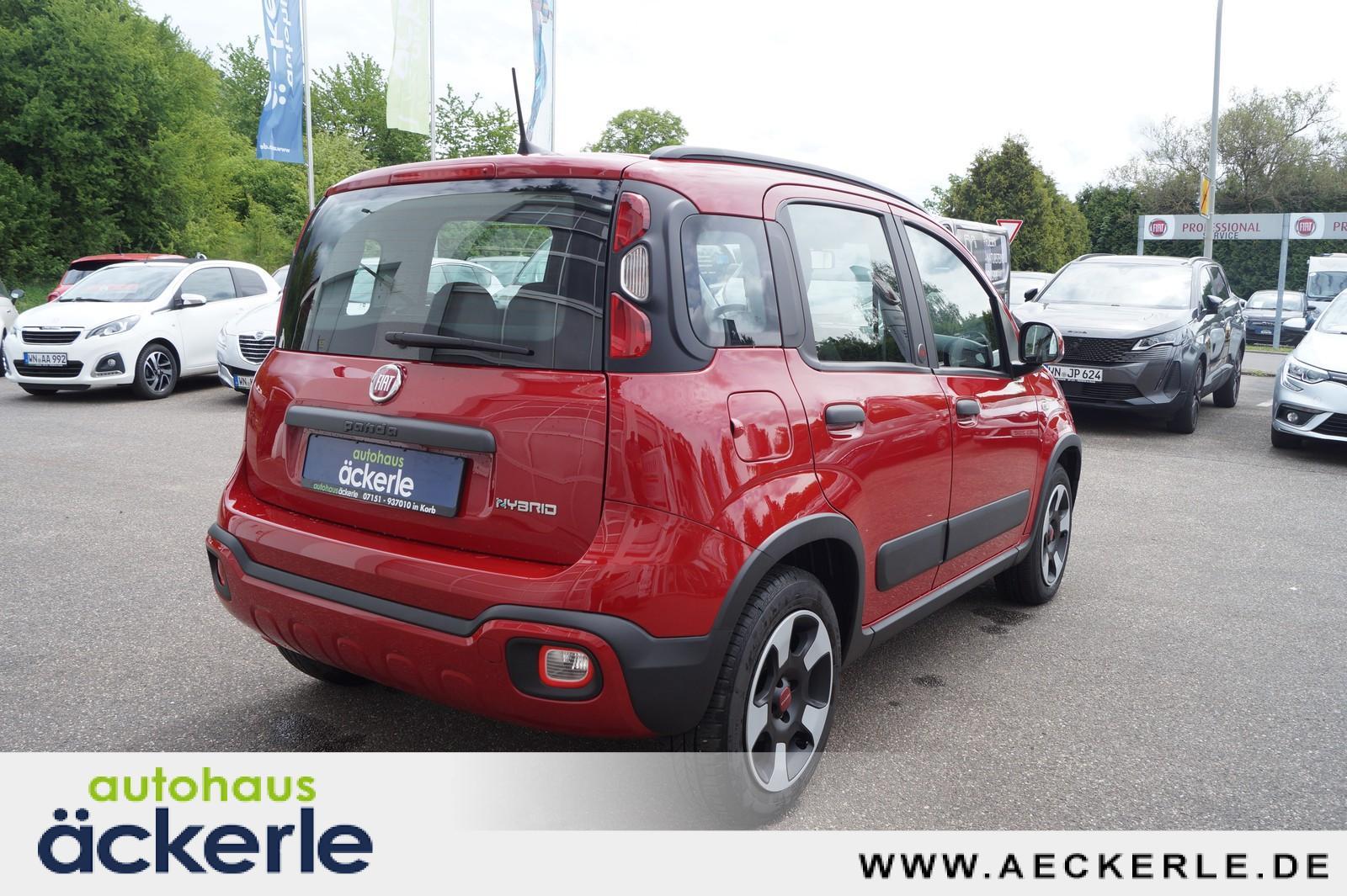 Fiat Panda Cross Red I Sonderedition "RED" I Allwette