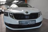 Skoda Octavia 1.6 TDI Drive DSG LED Navi SHZ ACC AHK - Skoda mit Diesel-Antrieb: 1.6