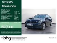 Skoda Kamiq - Vorschau Bild 1