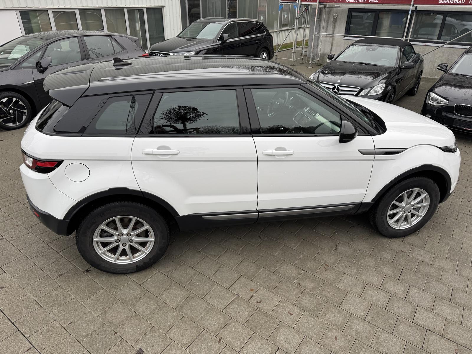 Land Rover Range Rover Evoque Pure | Allrad | 2.Hand