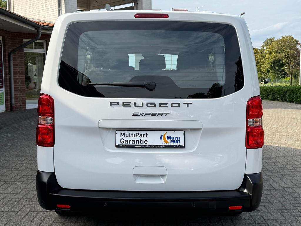 Peugeot Traveller