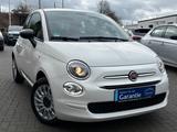 Fiat 500 Basis/1.Hd/Garantie/Gepflegt- - : Weiß, Kleinwagen