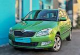 Skoda Fabia 105 DSG Automatik*Klimaauto*Sitzhz*ALU*PDC - Skoda Fabia: Grün