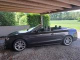 Audi S5 Cabriolet Scheckheft, Motor generalüberholt - Audi Cabriolet aus 2014