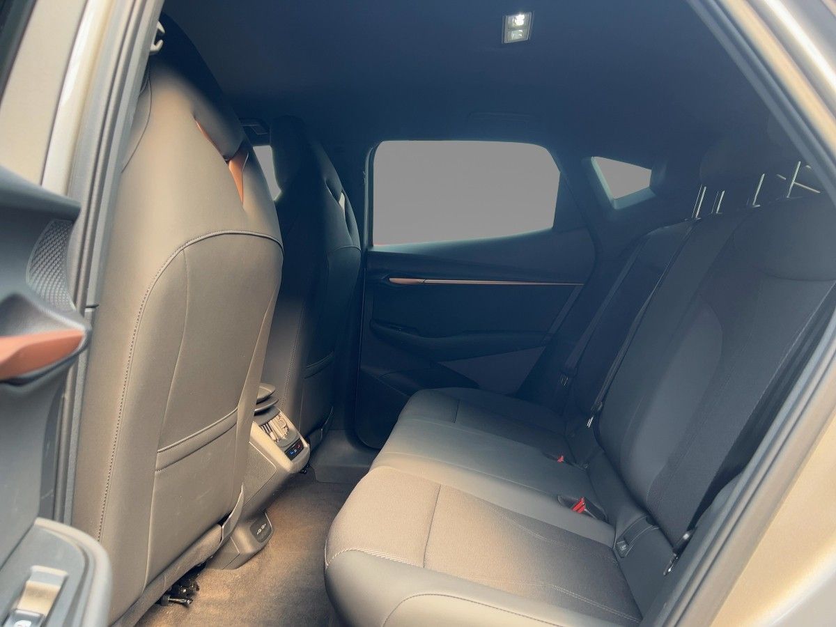 Cupra Tavascan - Bild 8