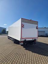 MAN TGL 12.180 4x2LL Koffer 8,23m - MAN Tgl 12 180