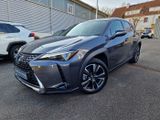 Lexus UX 250h Style Edition PDC/NAVI/SRA - Lexus in Stuttgart