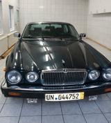 Jaguar XJ12 - Jaguar XJ12 Gebrauchtwagen