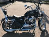 Harley-Davidson Sportster XL 1200 V - HARLEY-DAVIDSON CHOPPER SPORTSTER