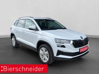 Skoda Karoq - Vorschau Bild 9