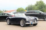 Austin Healey A3000 Mk.I  6-Zylinder Cabrio Sport Oldtimer - Austin Healey Oldtimer