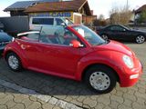 Volkswagen New Beetle Cabriolet 1.4 ORIG.NUR 3´km - Volkswagen New Beetle mit Benzin-Antrieb: Cabrio, 1.4