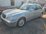 Mercedes-Benz E 320 4MATIC ELEGANCE - Mercedes-Benz E 320: Elegance