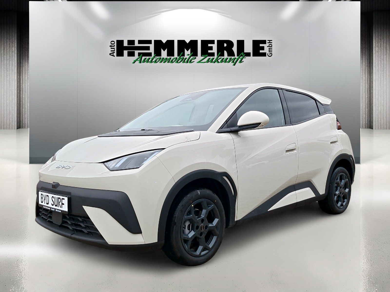 BYD DOLPHIN SURF Comfort*BLACK FRIDAY bis 30.11.*