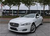 Jaguar XJ Portfolio 3.0 V6 Kompressor AWD Portfolio - Jaguar XJ: Allradantrieb