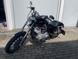 Harley-Davidson Iron Sportster 883 nur heute 6800€!!!! - Offers