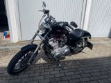 Harley-Davidson Iron Sportster 883 nur heute 6800€!!!! - Offers matching your search criteria