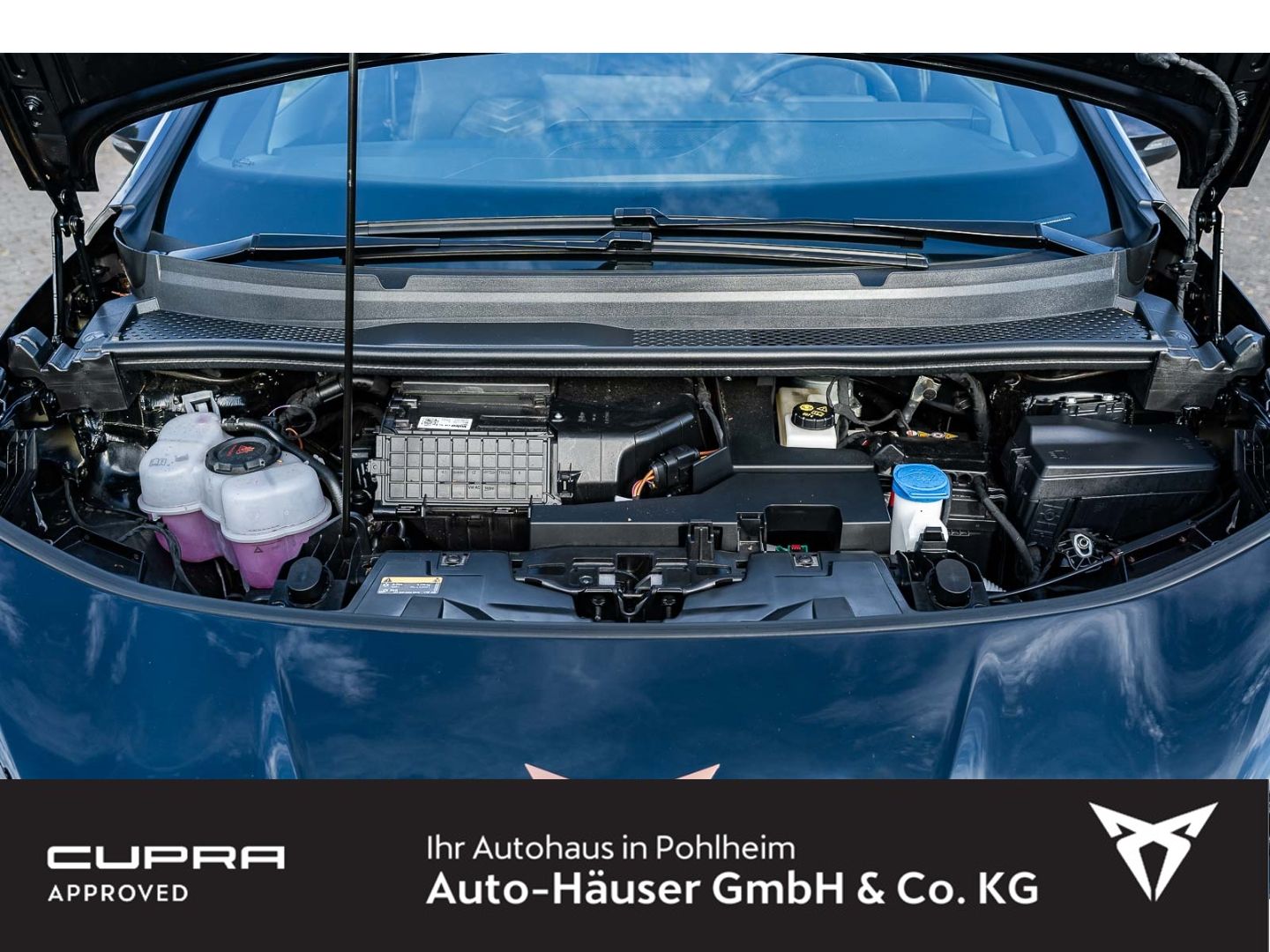 Cupra Born - Bild 28