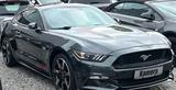 Ford Mustang 5.0 Ti-VCT V8 GT Auto GT - Ford: Standheizung