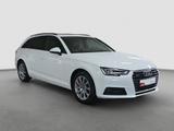 Audi A4 Avant 3.0 TDI qu Business LED Pano ACC - Audi A4: Kombi, 3.0