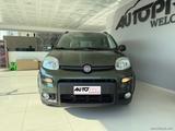 Fiat FIAT Panda 0.9 T.Air Turbo Nat. Pow. Trekking - Fiat Panda: Trekking