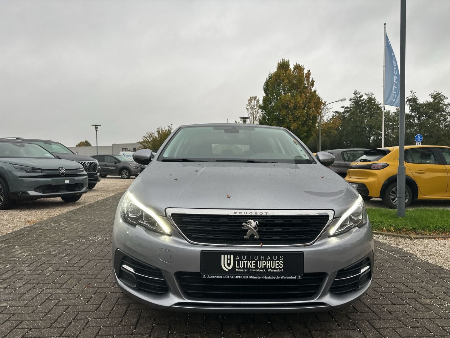Fahrzeugabbildung Peugeot 308 Active BlueHDi 130 Navi SHZ Rückfahrkam.