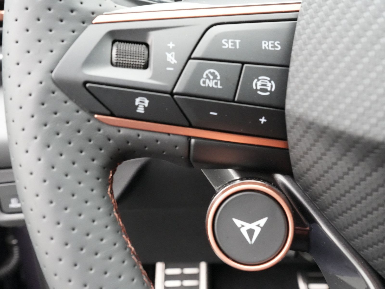 Cupra Terramar - Bild 21