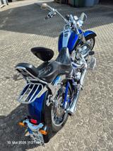 Harley-Davidson FLSTSE2 CVO Softail - HARLEY-DAVIDSON FLSTS